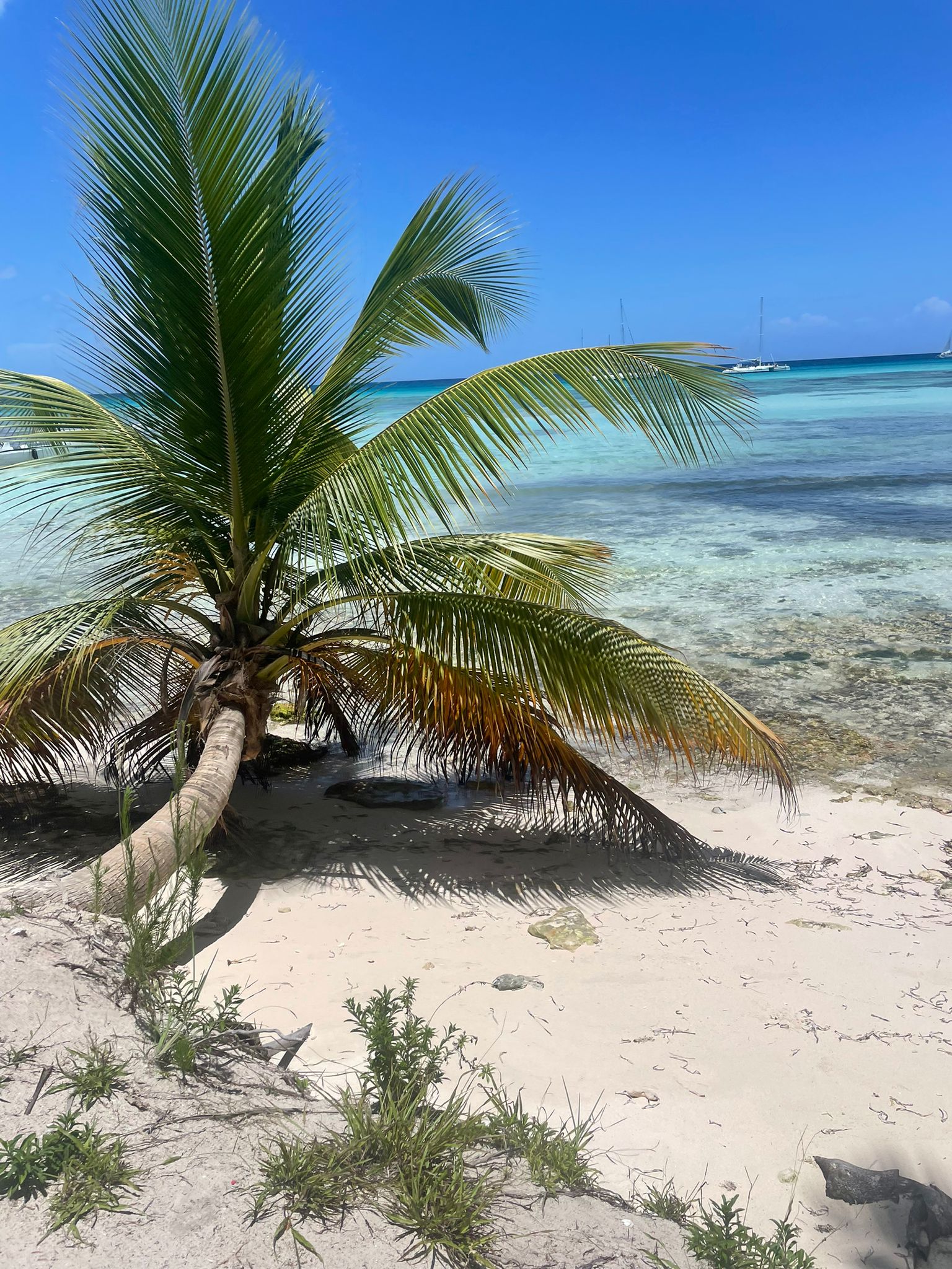 Isla Saona